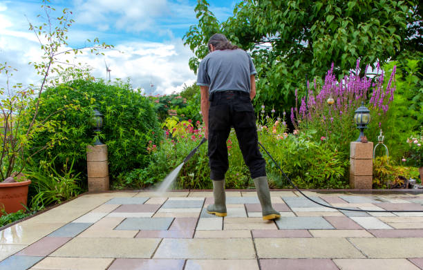 Trusted New Albany, IN Pressure Washing Services Experts